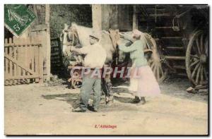 Old Postcard Folklore L & # 39attelage Horse