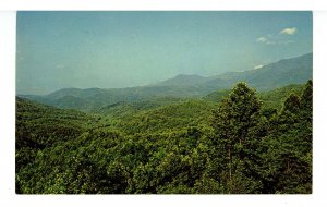 Great Smoky Mountains Nat'l Park. View from Maloneys Point