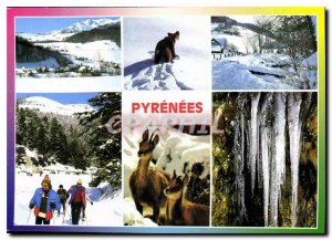 Modern Postcard The Pyrenees Various aspects Bear Chamois