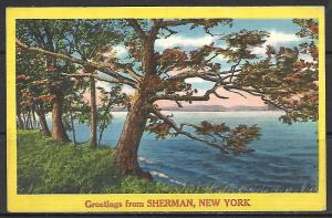 New York, Sherman - Greetings - [NY-114]