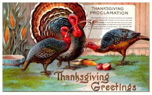 Thanksgiving Turkeys and Proclamation