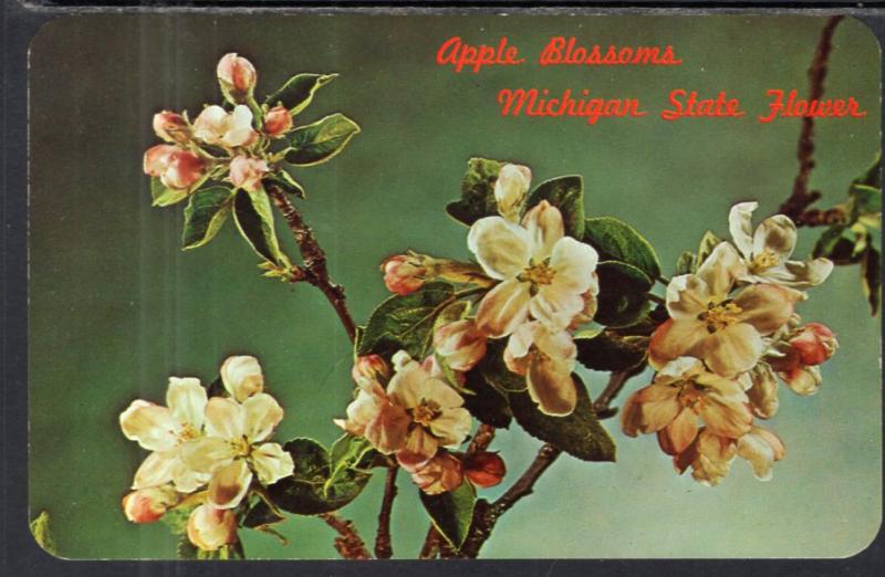 Apple Blossoms Michigan State Flower Topics Flowers Plants Trees Postcard Hippostcard