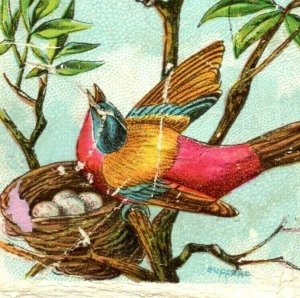 1880s-90s Arm & Hammer Birds Series N0.37 Painted Bunting P210