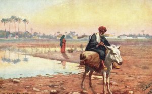 Vintage Postcard 1910's An Arab Trader with Saddle Bags Overflowing Dates Egypt