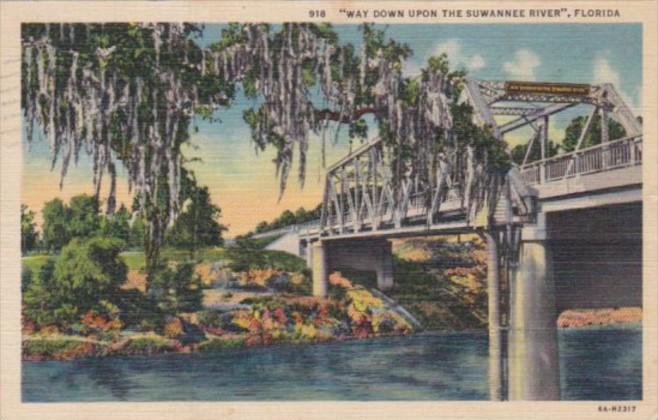 Florida Scene Way Down Upon The Suwannee River 1937 Curteich