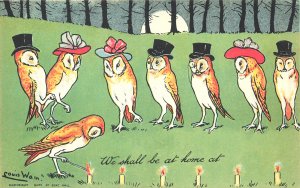 Louis Wain Artist We shall be at home soon Birds, Mint Condition, Postcard