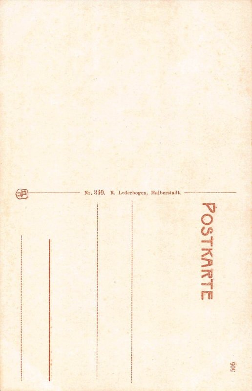 Germany Bodetal Teufelsbruecke River Cliffs vintage postcard