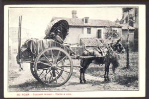 Donkey Cart Rome Italy Postcard 5787