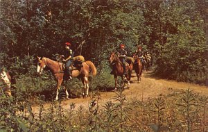 Scouts on horseback Scouting Unused 