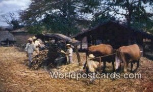 Primitive sugar can grinding El Salvador El Salvador, Central America Unused 