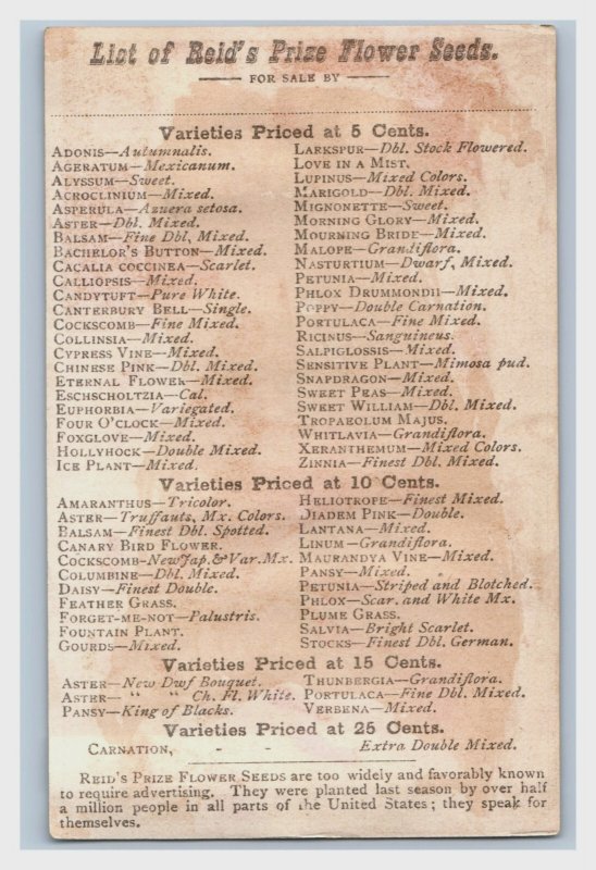 1870s-80s Reid's Flower Seeds W/Prices Penny Farthing Race Lot Of 2 F179