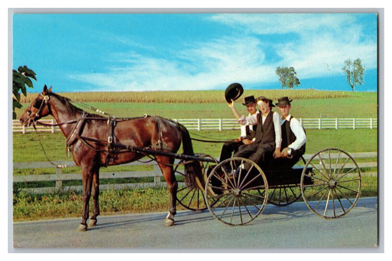 Postcard PA The Amish Courting Buggy Dutch Country Pennsylvania