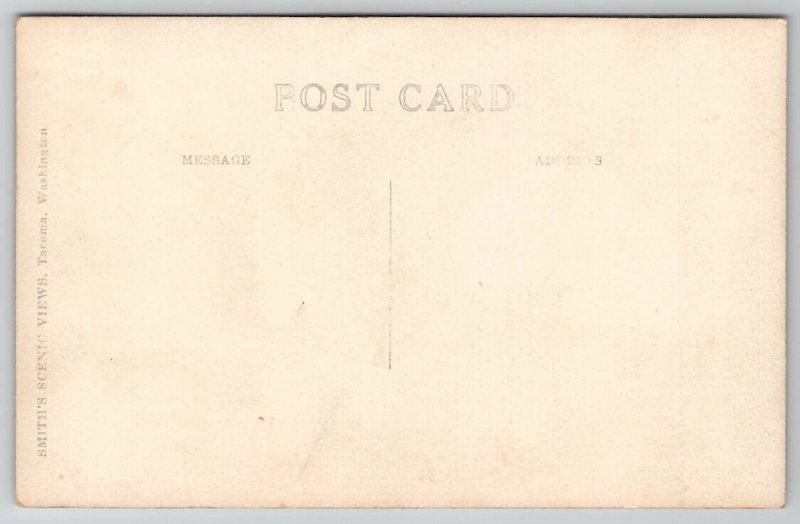 RPPC Washington Native Cute Brown Bear Drinking From Soda Bottle Postcard A46