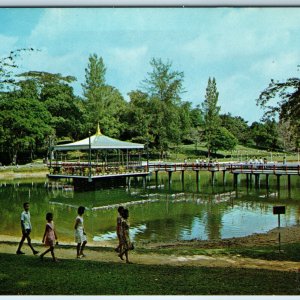 c1960s Singapore MacRitchie Reservoir Park Central Catchment Nature Reserve A227