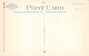 Biltmore House Biltmore, North Carolina NC Postcard