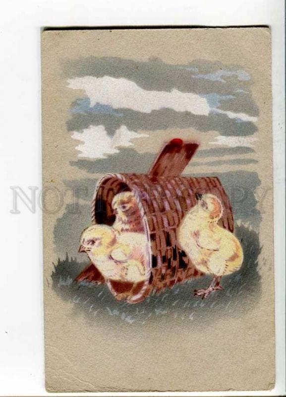 262347 RUSSIA EASTER Chickens in basket Vintage litho postcard