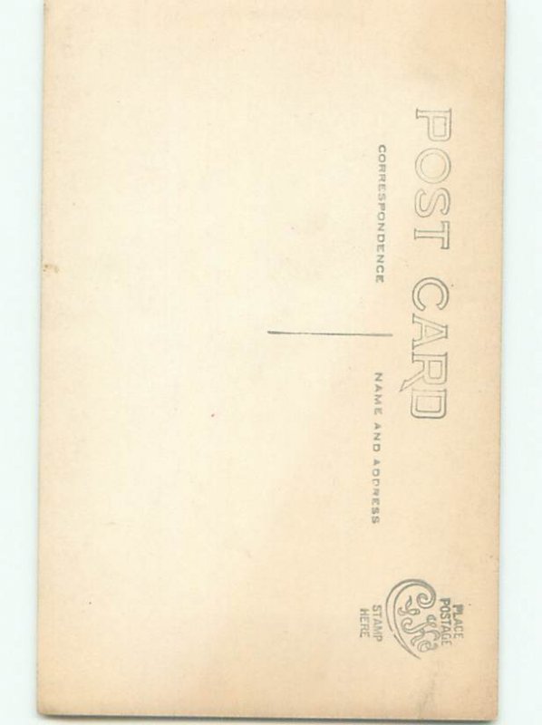 Old rppc NATURE SCENE Great Postcard AB0460