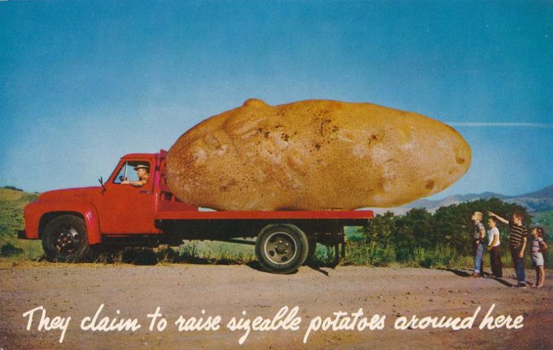 Exagerrated Potato on Flatbed Truck - We grow them big here - Roadside