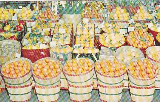 Shipper's Display Of Tropical Fruit In Florida