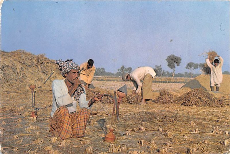 Typical Farmer Pakistan 1976 