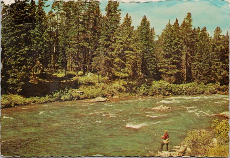 Fisherman Maligne River Jasper National Park Alberta AB UNUSED Postcard D91