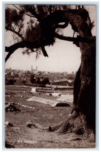 c1930's Ramleh City Tree Desert View Israel RPPC Photo Unposted Postcard 