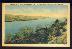 Skaneateles, New York/NY Postcard, View Of Lake From Spafford Landing