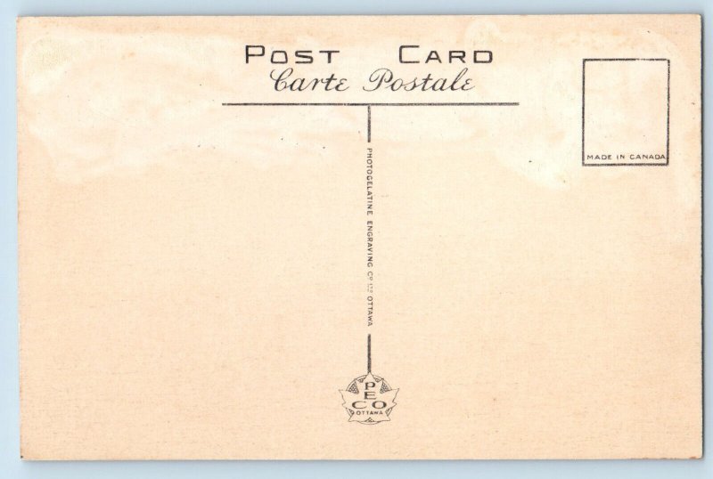 Cape Breton Nova Scotia Canada Postcard Margaree Valley c1920's Antique