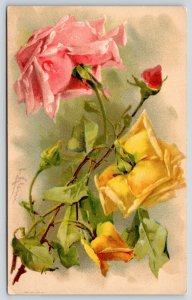 Catherine Klein~Beautiful Pink & Yellow Roses~Rosebuds~Dew Drop~c1910 Postcard 