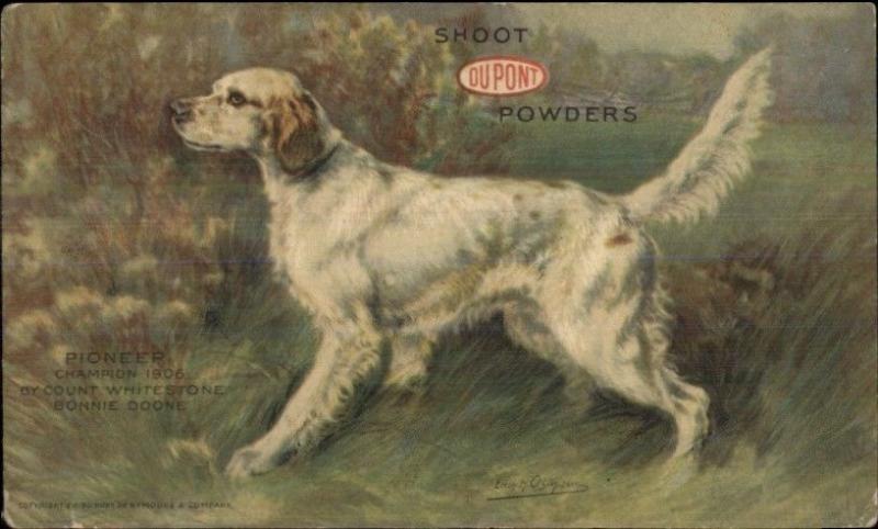 Dupont Du Pont Shoot Gun Powders Hunting Dog c1910 Postcard