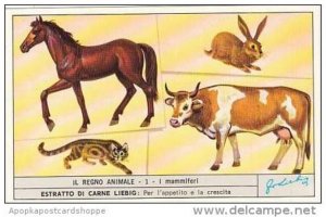 Liebig S1866 Animal Kingdom #1 Mammals Horse Cow