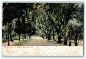 1908 Bonaventure Cemetery Big Trees Scene Savannah Georgia GA Posted Postcard