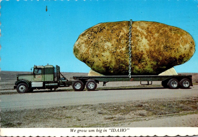 Idaho Exageration Large Potato On Truck We Grow Um Big In Idaho m