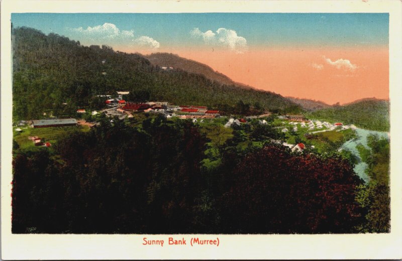 Pakistan Sunny Bank Murree Vintage Postcard C079