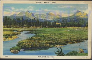 TUOLUMNE MEADOWS YOSEMITE NATIONAL PARK