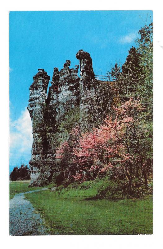Mt Solon VA Natural Chimneys Redbud Trees Virginia Vintage Postcard