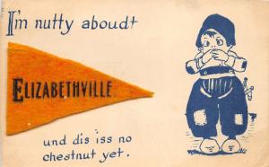 Dutch Boy is Nutty About Elizabethville Pennsylvania~1912 Felt Pennant Pc