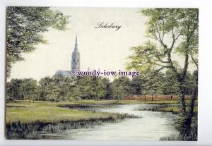 tq2897 - Wilts - Salisbury Marshes & Cathedral, Artist - Kevin Platt - Postcard