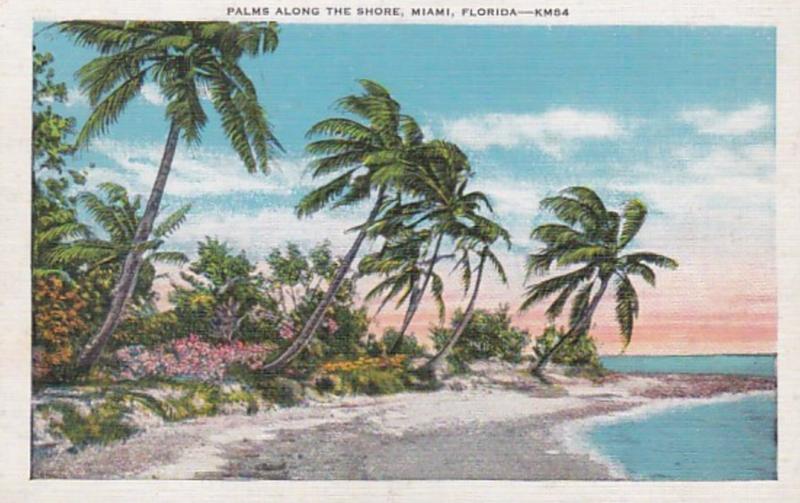 Florida Miami Palms Along The Shore