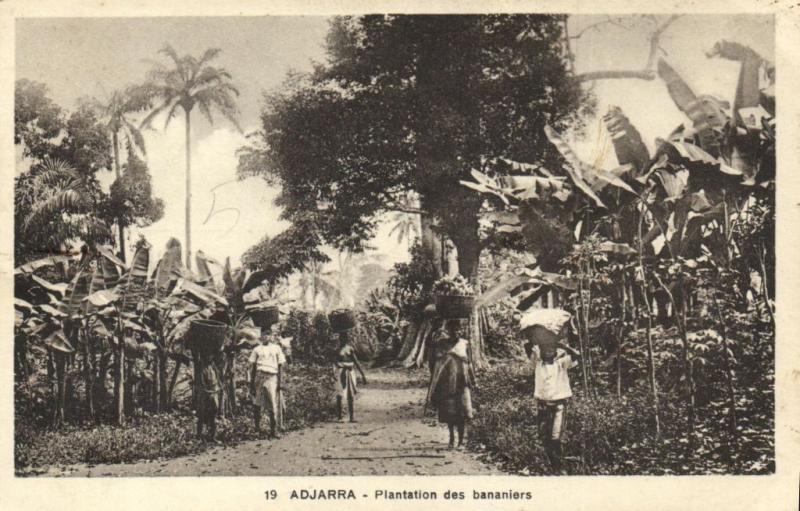 CPA Dahomey Afrique -  Adjarra - Plantation des bananiers (86824)