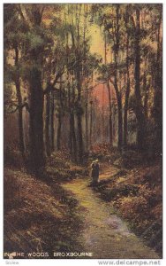 Couple Walking In The Woods, Broxbourne (Hertfordshire), England, UK, 1900-1910s