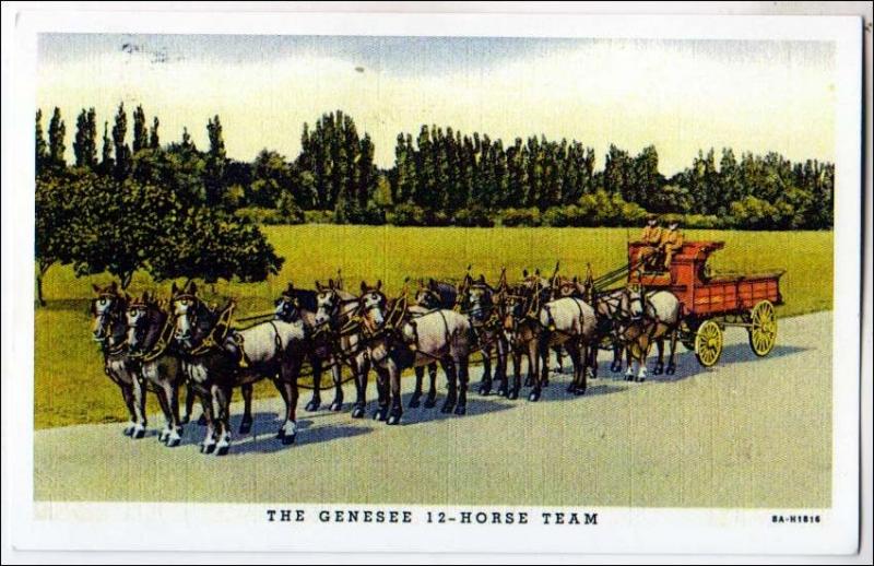 COPY - Genesee 12-Horse Team - Copy