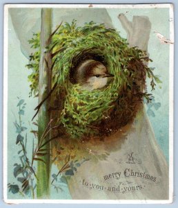 1880-90's ERA VICTORIAN MERRY CHRISTMAS BIRD IN NEST XMAS CARD*TOP RIGHT DAMAGE*