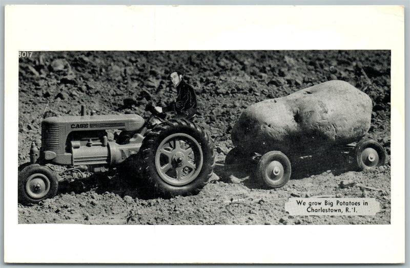 CHARLESTOWN R.I. EXAGGERATED POTATO VINTAGE POSTCARD tractor