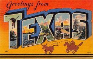 LPD68     Texas Large Letters Postcard
