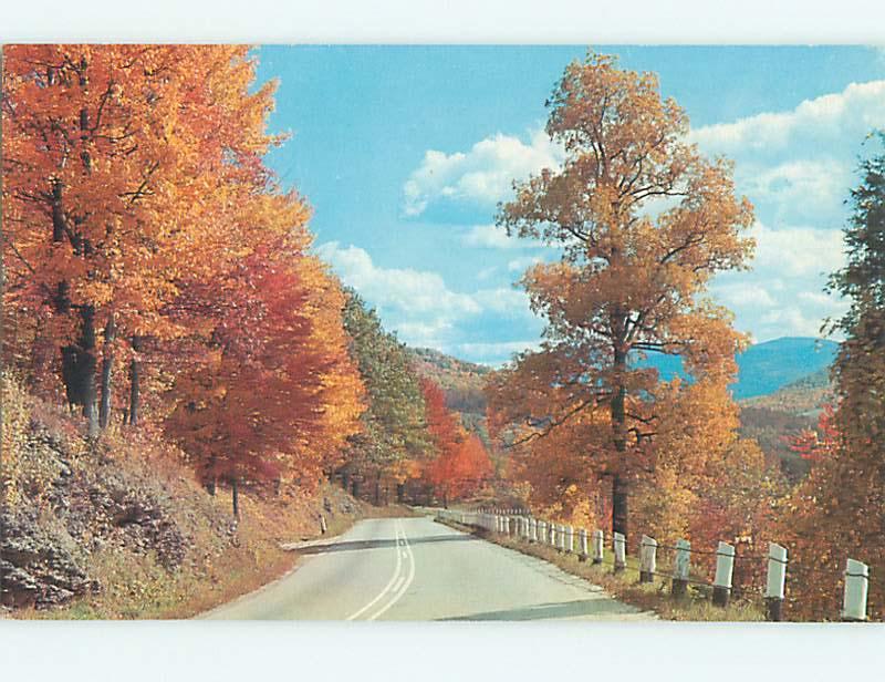 Unused 1950's GREETINGS FROM - ROAD THRU AUTUMN TREES Oneonta New York NY Q8554