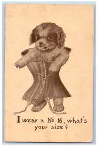 Fresno California CA Postcard Dog Of Corset I Wear No. 16 What Is Your Size 1914