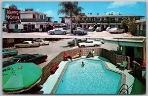 San Ysidro California 1960s Postcard Flamingo Motel Swimming Pool