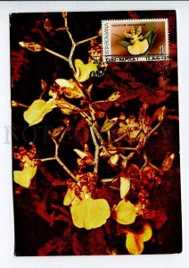 422220 ROMANIA 1990 year flowers orchid maximum card