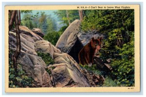 c1940s Bear Scene, I can't Bear To Leave West Virginia WV Unposted Postcard